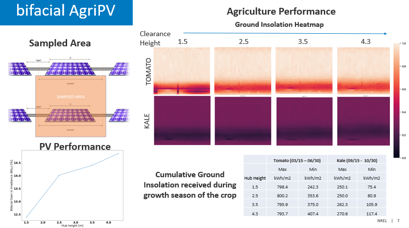 AgriPV Bifacial Clearance Height Study